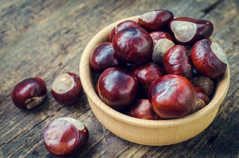 The Many Benefits Of Chestnuts (PLUS How To Roast And Use)