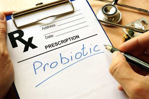 Everything You Need To Know About Probiotics