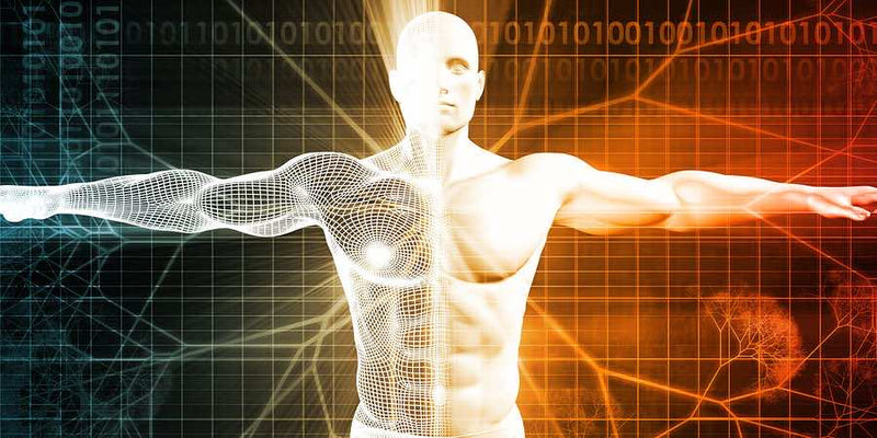 Can Your Change Your Genes? What Is Epigenetics? Biofeedback, Epigenetics & The Biology Of Belief