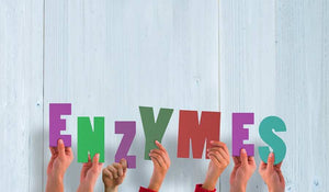 10 Amazing Benefits of Digestive Enzymes