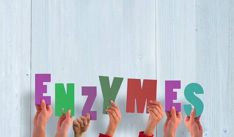10 Amazing Benefits of Digestive Enzymes