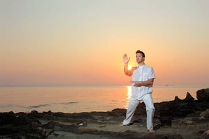 Gaining LifeForce With QiGong, Healing Hands, Healing Touch, and Energy Healing