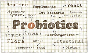 The 9 Best Types Of Probiotics To Combat Disease and Improve Your Health
