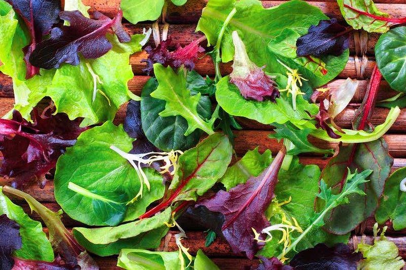 The Best Healthy Salad Recipes - Bernard Jensen & The Rainbow Salad
