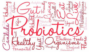 5 Interesting Facts About Probiotics You May Not Have Known