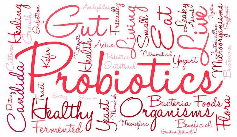 5 Interesting Facts About Probiotics You May Not Have Known