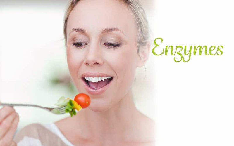 10 Types Of Digestive Enzymes You Must Know About