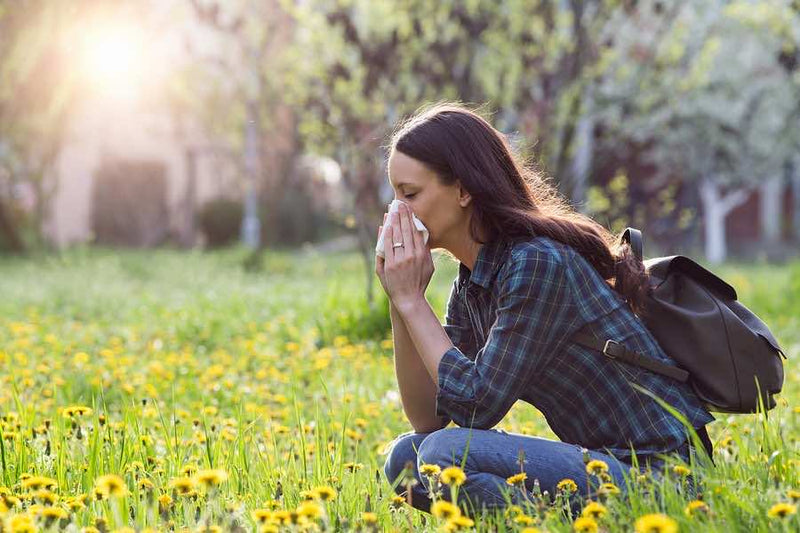 Natural Techniques To Combat Your Allergies