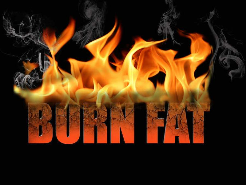 How To Burn Fat with Metabolic Training