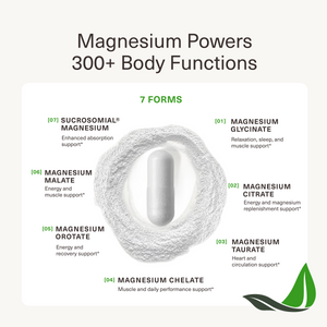 Magnesium Breakthrough