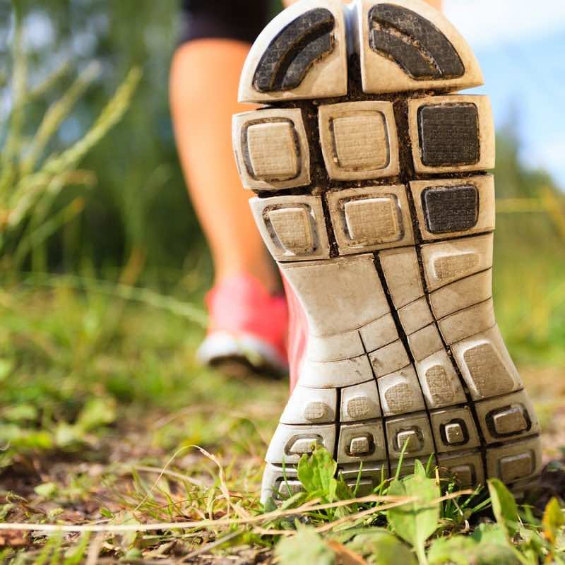 Walking Or Running Legs In Forest, Adventure And Exercising