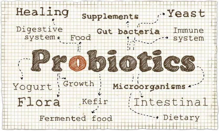The 9 Best Types Of Probiotics To Combat Disease And Improve Your
