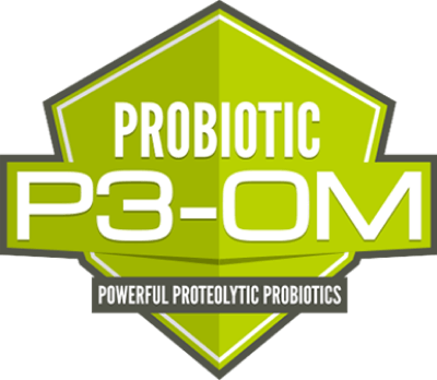 p3om-logo