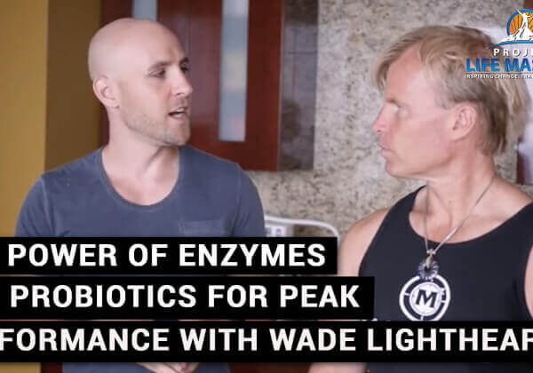 THE POWER OF ENZYMES AND PROBIOTICS FOR PEAK PERFORMANCE